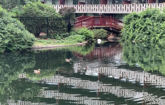 1 bed, 1 bath, 602 sqft, $2,200, Unit L12