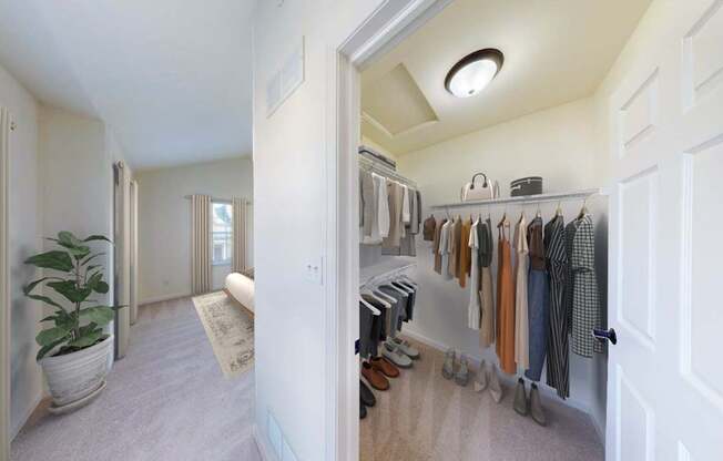 A hallway with a white door and a white wall with a plant on the left.