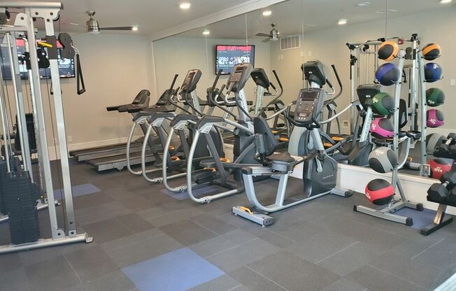 Fitness Center with Weight Station