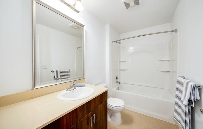 a bathroom with a shower sink and toilet and a mirror