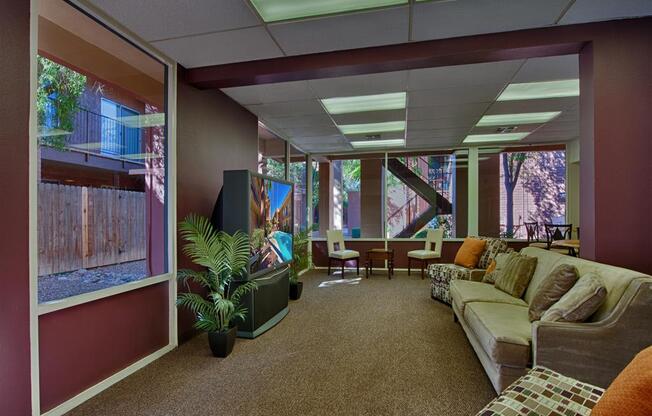 Lush Wall-to-Wall Carpeting at Fountain Plaza Apartments, 2345 N. Craycroft, Tucson, AZ