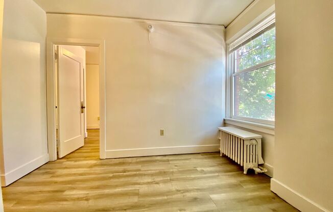 1 bed, 1 bath, 335 sqft, $1,350, Unit 207