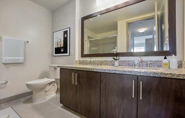 a bathroom with a toilet and a sink and a mirror
