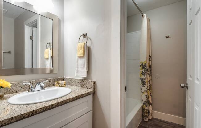 a bathroom with a sink and a shower and a mirror