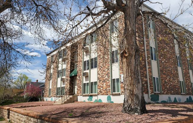 2 beds, 1 bath, $1,100, Unit Unit C1