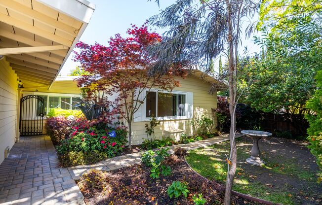 Beautiful Mid-Century Modern Home Across from Mitchell Park