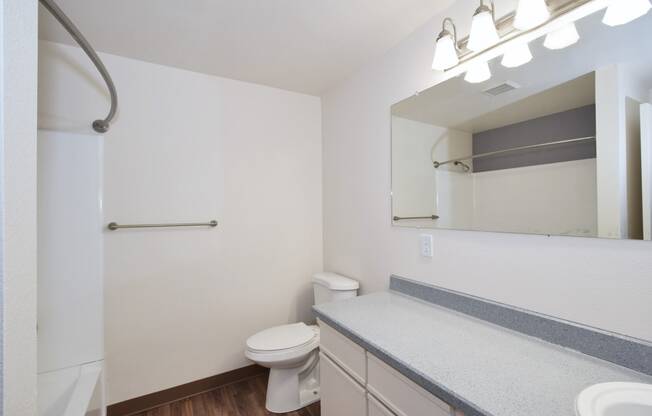 a bathroom with a toilet sink and mirror