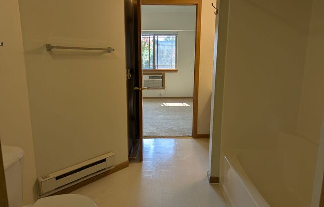 Studio, 1 bath, 502 sqft, $1,310, Unit 202-310