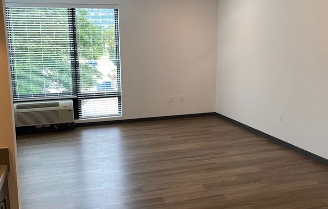 Studio, 1 bath, 535 sqft, $975, Unit 202