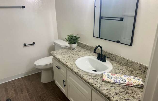 A bathroom with a sink, toilet, and mirror.