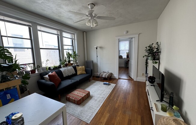 11 CAROL AVE