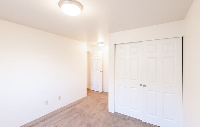 a bedroom with two closets and a carpeted floor