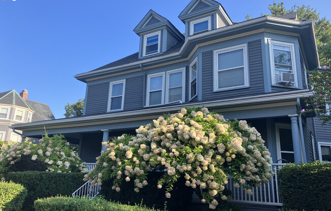 1 WALDO ST