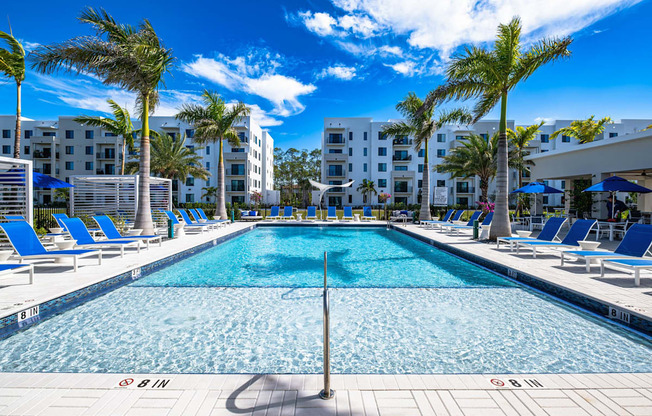 A large swimming pool surrounded by palm trees and lounge chairs.