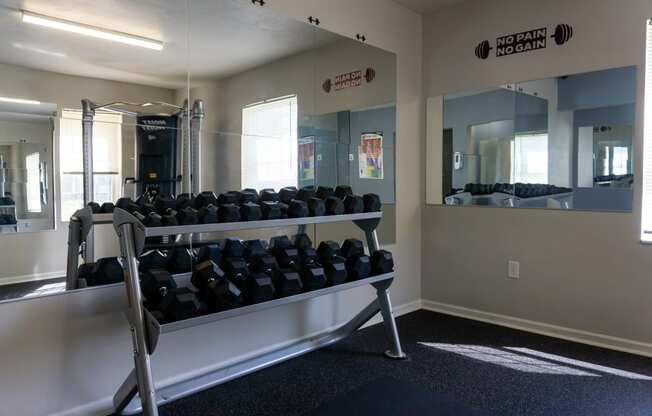 a treadmill and weights rack in the fitness room
