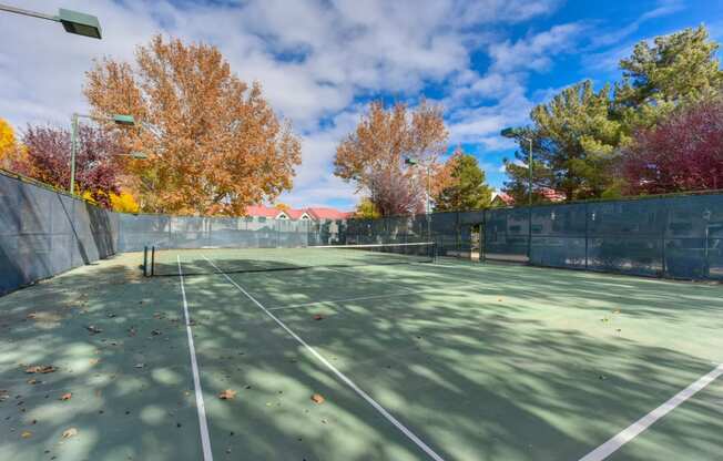 Tennis Court with Net, Autumn Leaves On Ground and Large Trees