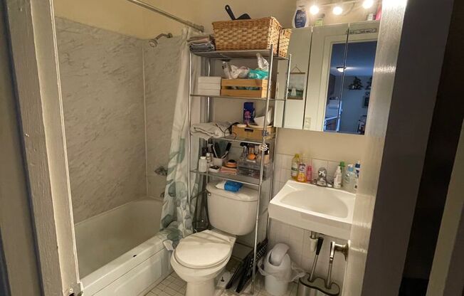 Studio, 1 bath, 425 sqft, $869, Unit 211