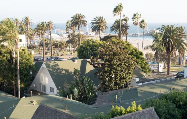 A view of a beachfront with palm trees and a white building.