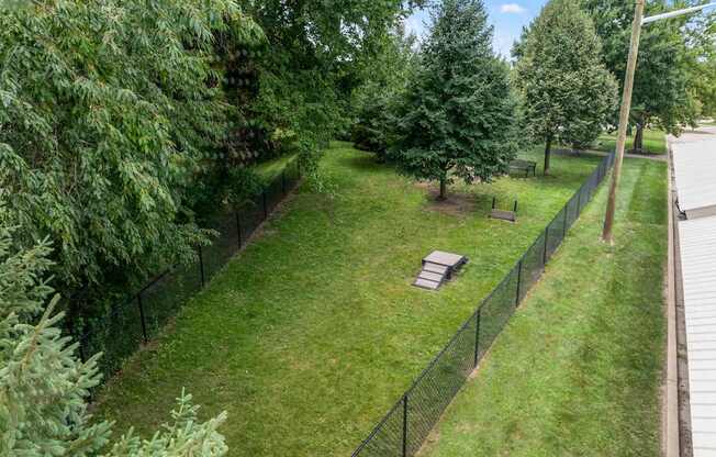 A backyard with a fence and a tree.
