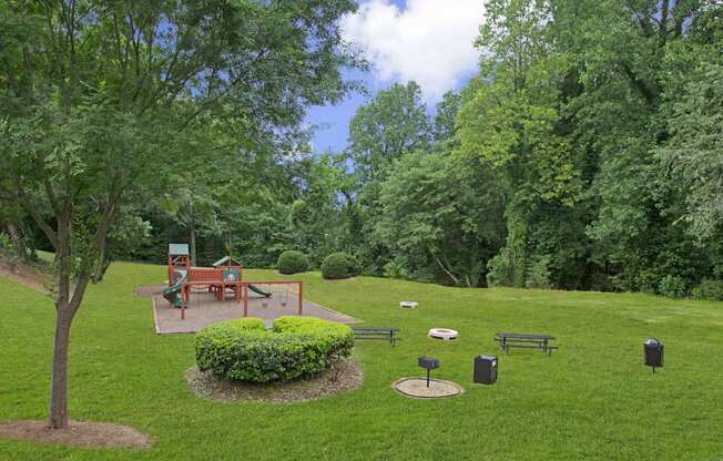 A park with a tree, a bench, and a bush.