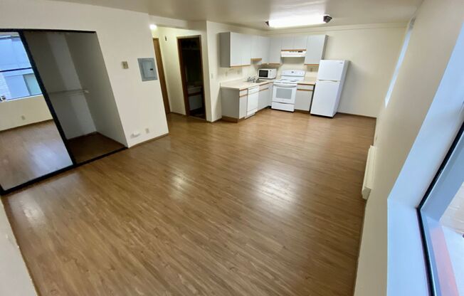 Studio, 1 bath, 413 sqft, $1,295, Unit 316