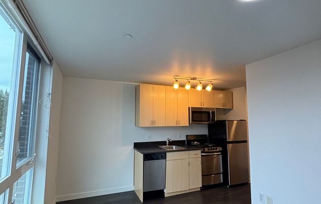 Studio, 1 bath, 262 sqft, $1,350, Unit 203