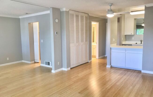 1 bed, 1 bath, 595 sqft, $2,895, Unit 203