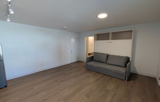 Studio, 1 bath, 487 sqft, $1,010, Unit 203