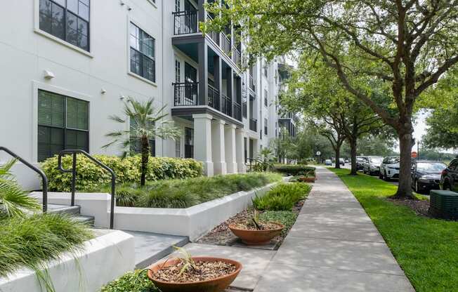 a city sidewalk in front of a building with trees and plants at Azul Baldwin Park, Orlando