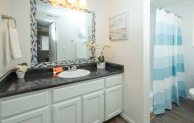 a bathroom with a sink and a mirror and a shower