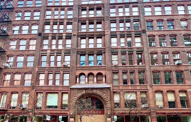South Loop / Printer's Row Timber Loft Condo Available NOW! In-Unit Laundry!