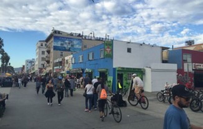 Sunny Venice Boardwalk Studio