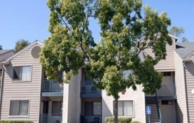 3 beds, 2 baths, 1,100 sqft, $2,800, Unit 127