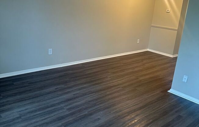 Black Pine Flats