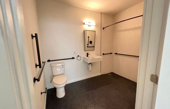 Studio, 1 bath, 414 sqft, $1,335, Unit 101