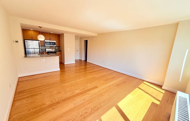 Studio, 1 bath, 460 sqft, $2,400, Unit 0310