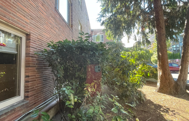 1 bed, 1 bath, 588 sqft, $1,695, Unit 104