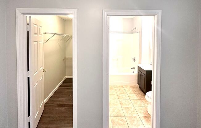 Studio, 1 bath, 215 sqft, $1,495, Unit 206