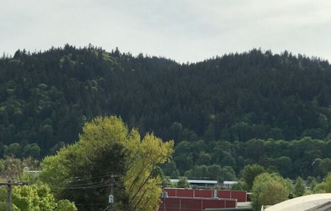 1 bed, 1 bath, 599 sqft, $1,440, Unit 1-111