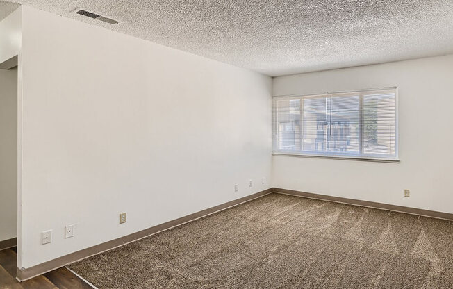 carpeted living room at mesa gardens apartments