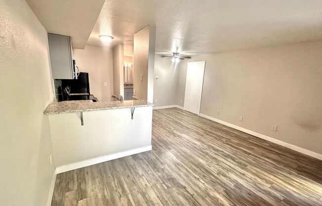 Studio, 1 bath, 365 sqft, $1,025