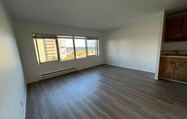 Studio, 1 bath, 348 sqft, $1,225, Unit 206