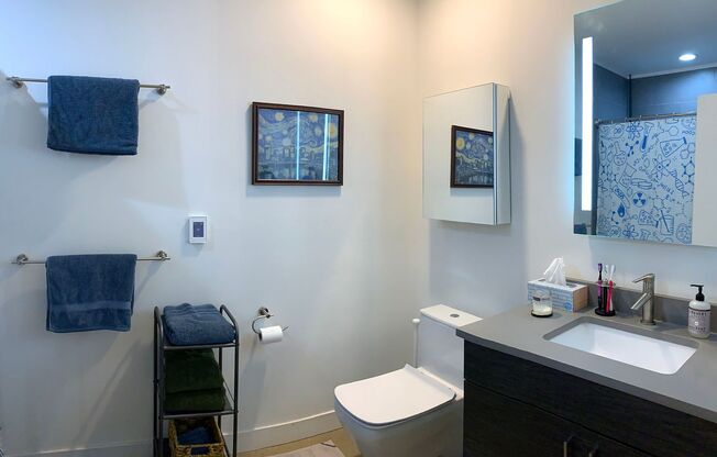 1 bed, 1 bath, 700 sqft, $2,395, Unit 406