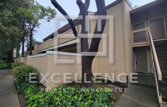 2/1 With Private Patio, AC, Updated Kitchen, Community Laundry & Pool - Across From Central Park