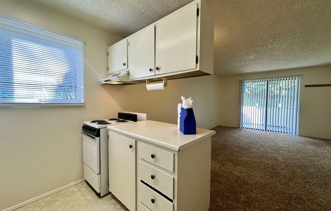 1 bed, 1 bath, 625 sqft, $1,295