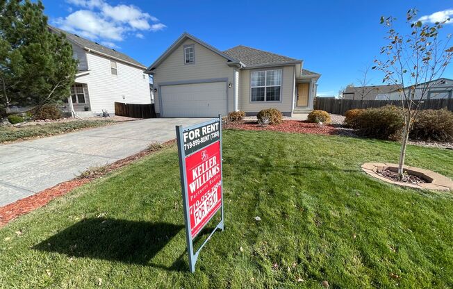 ADORABLE HOUSE IN PEYTON WITH LARGE BACKYARD FOR ENTERTAINING!!!!