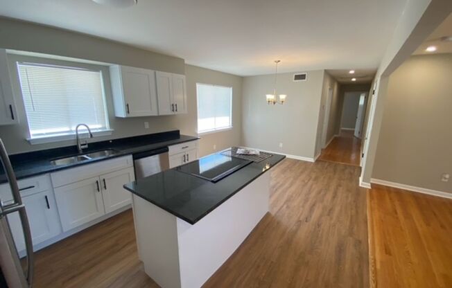 Freshly Renovated 4 Bedroom, 3 Bathroom in the heart of Chattanooga!