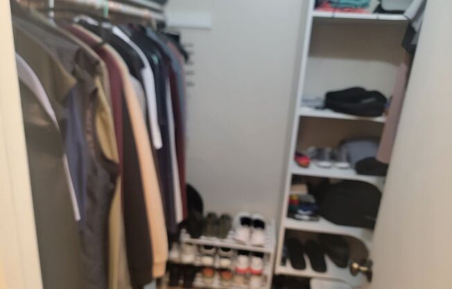 1 bed, 1 bath, $2,400, Unit # 349