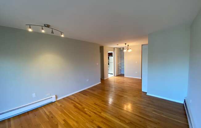 Designer Lighting Packages