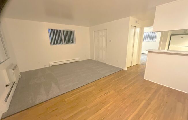 1 bed, 1 bath, 620 sqft, $1,299, Unit 201